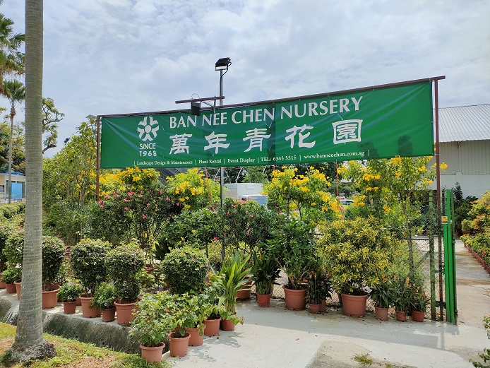 Ban Nee Chen Nursery